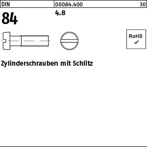 Zylinderschraube mit Schlitz DIN 84 4.8 M 6 x 100 VE=S
