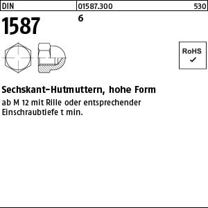 Sechskant-Hutmutter DIN 1587 6 M 12 SW 19 VE=K
