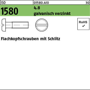 Flachkopfschraube ISO 1580 4.8 M 8 x 50 galv. verzinkt gal Zn VE=K