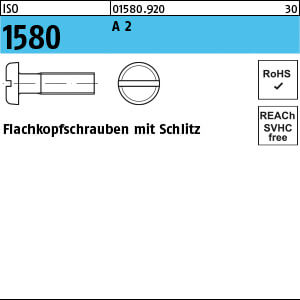 Flachkopfschraube ISO 1580 A 2 M 6 x 50 A 2 VE=K