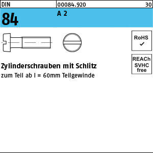 Zylinderschraube mit Schlitz DIN 84 A 2 M 10 x 100 A 2 VE=K