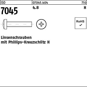 Flachkopfschraube ISO 7045 4.8 M 8 x 25 -H VE=S