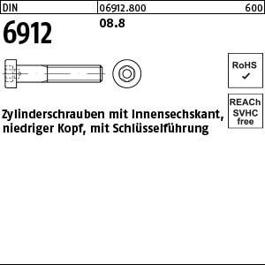 Zylinderschraube DIN 6912 08.8 M 6 x 30 VE=K
